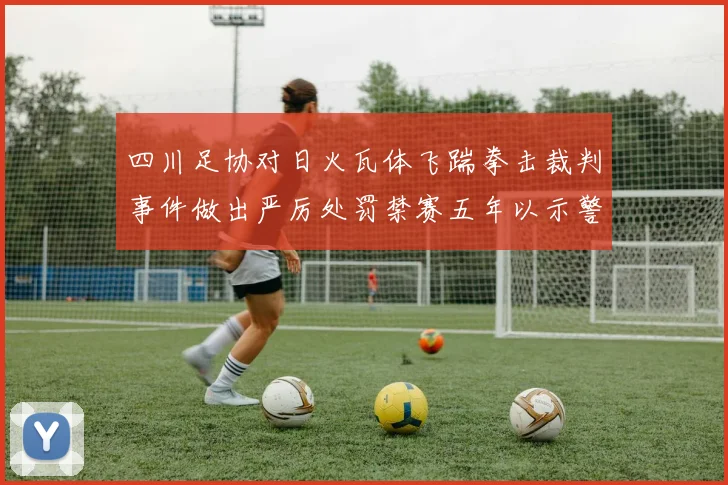 四川足协对日火瓦体飞踹拳击裁判事件做出严厉处罚禁赛五年以示警戒