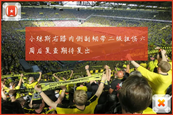 小琼斯右膝内侧副韧带二级扭伤六周后复查期待复出